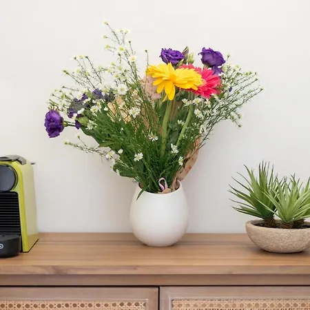 아파트 Vivimihome - A Pochi Passi Dalla Piazzetta 카프리